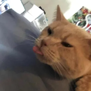 😡