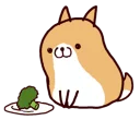🐶