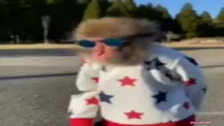 🐵