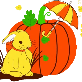 🍁