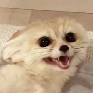 😧
