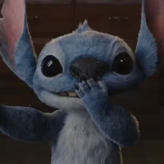 Stitch