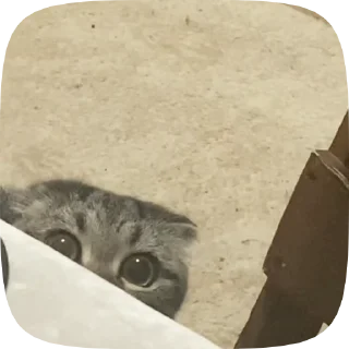 😮