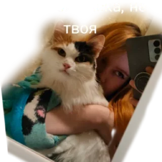 😻