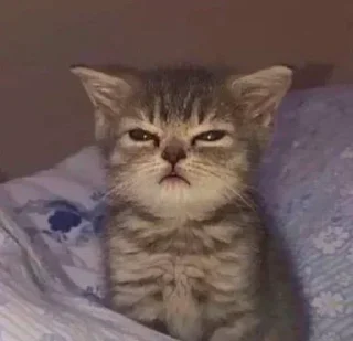 🥺