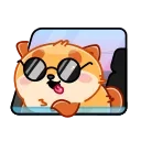😎