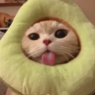 🥑