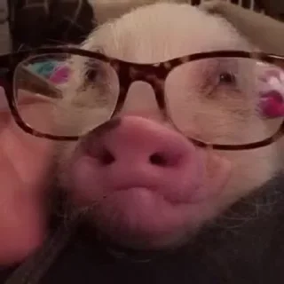 😁