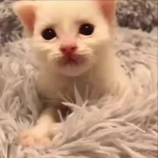 🤗