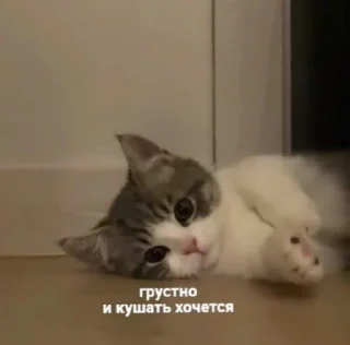 😕