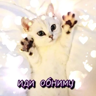 🤗