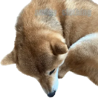 😔