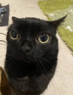 👿