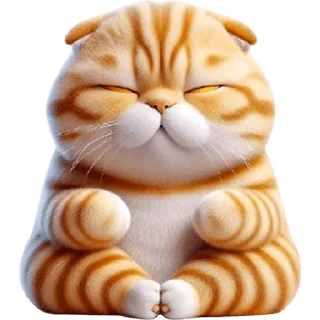 🐱