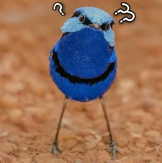 🤔