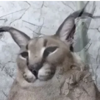 ☹️
