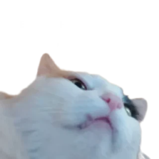🥸