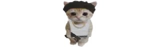 🐈