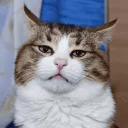 😒