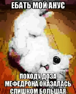 😮