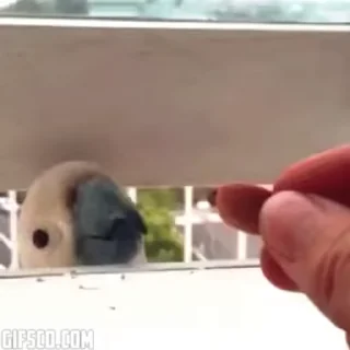 😁