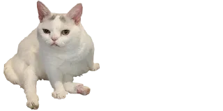 🥱