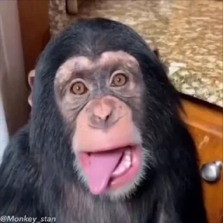 🌟