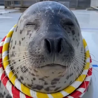 😐