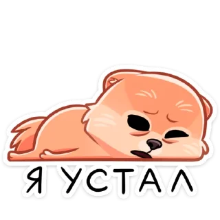 😴