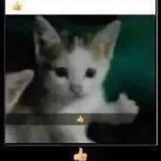 👍