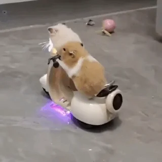 🏍