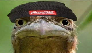 🪃