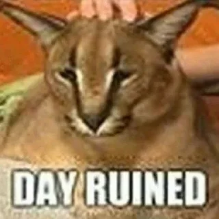 😞