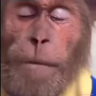 😌