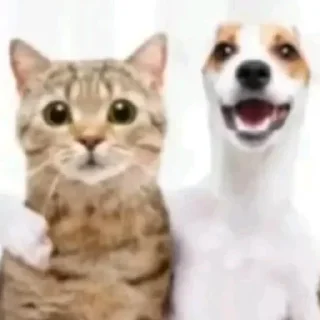 ☺