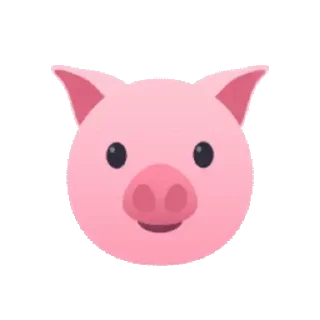 🐷