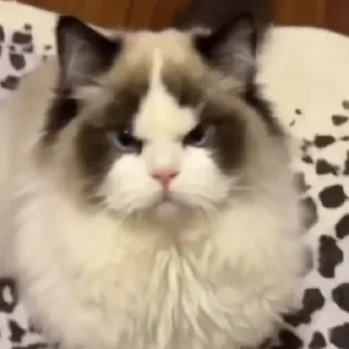 😡