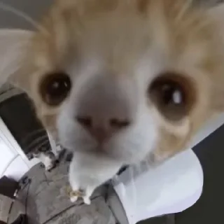 🤨