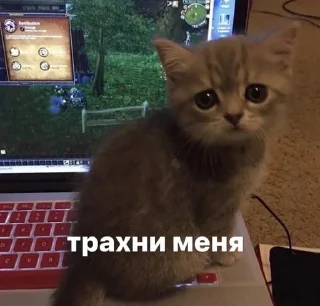 🤍