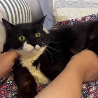😠