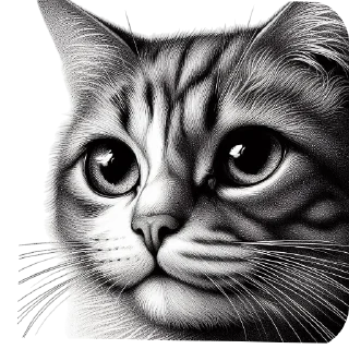 🐱