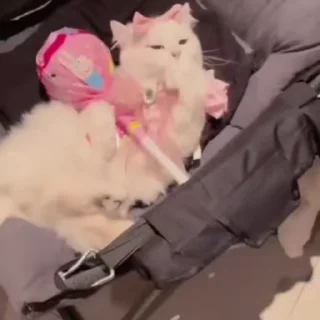 💕
