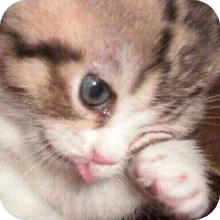 🫥
