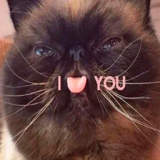 ❤