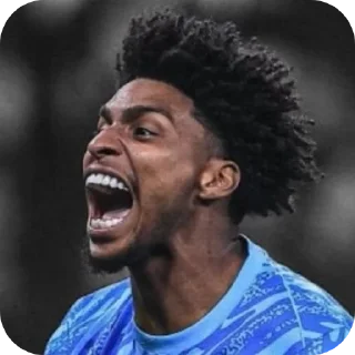 🧤