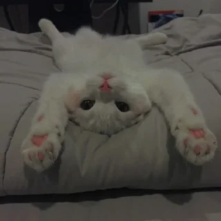 💗