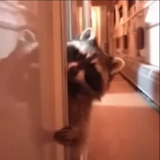 🫣