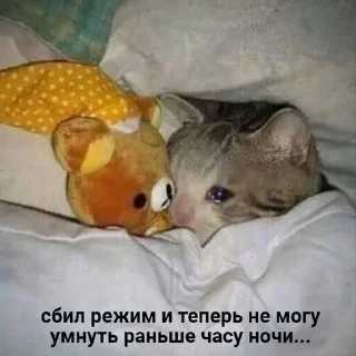 😢