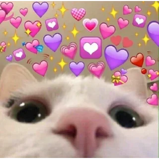 💟