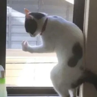 🤯